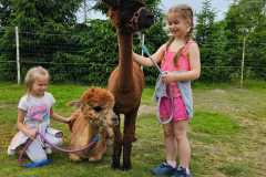 IMG-20250626-WA0053