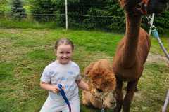 IMG-20250626-WA0054