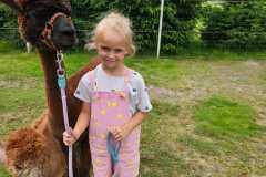 IMG-20250626-WA0055