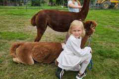 IMG-20250626-WA0056