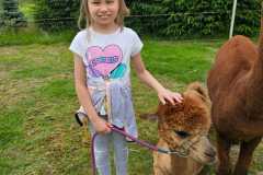 IMG-20250626-WA0058