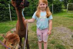 IMG-20250626-WA0059