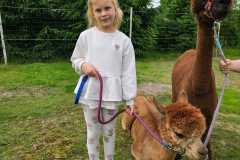 IMG-20250626-WA0060