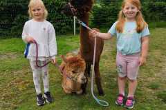 IMG-20250626-WA0061