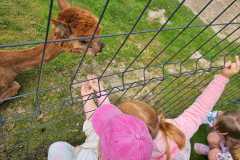 IMG-20250626-WA0062