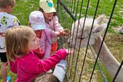 IMG-20250626-WA0063