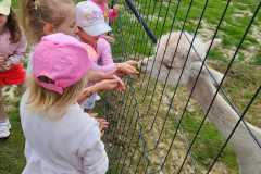 IMG-20250626-WA0064