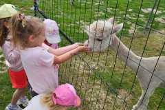 IMG-20250626-WA0068