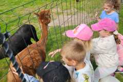 IMG-20250626-WA0070