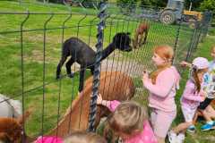 IMG-20250626-WA0074