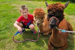 IMG-20250626-WA0317