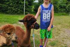 IMG-20250626-WA0318