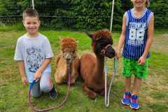IMG-20250626-WA0319