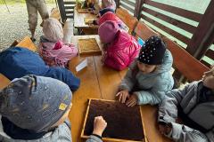 IMG-20250526-WA0012