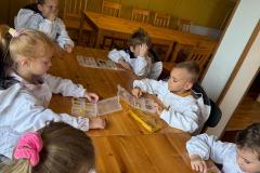 IMG-20250526-WA0033