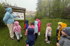 IMG-20250526-WA0068