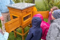 IMG-20250526-WA0072