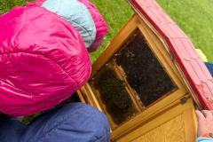 IMG-20250526-WA0073