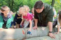 IMG-20250605-WA0147
