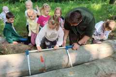 IMG-20250605-WA0151