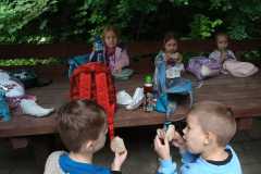IMG-20250605-WA0164