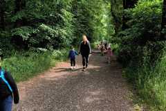 IMG-20250605-WA0174