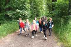 IMG-20250605-WA0175