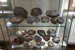 IMG-20250507-WA0123