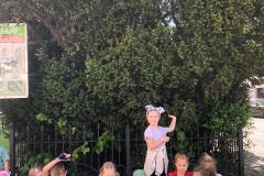 IMG-20250507-WA0132