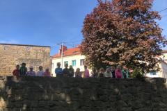 IMG-20250507-WA0160