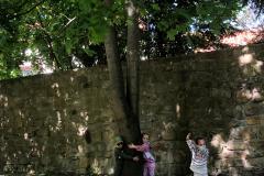 IMG-20250507-WA0168