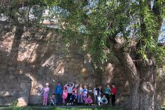 IMG-20250507-WA0173