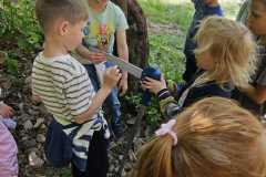 IMG-20250514-WA0002
