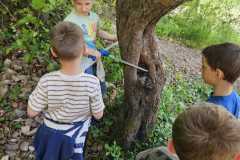 IMG-20250514-WA0011