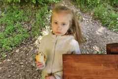 IMG-20250514-WA0012