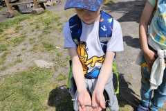 IMG-20250514-WA0017