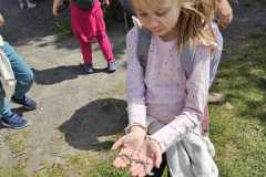 IMG-20250514-WA0019