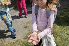 IMG-20250514-WA0021