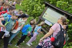 IMG-20250514-WA0029