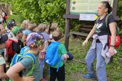 IMG-20250514-WA0033