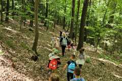 IMG-20250514-WA0035
