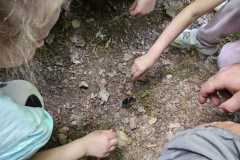 IMG-20250514-WA0036