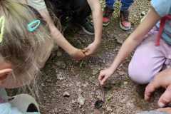 IMG-20250514-WA0037