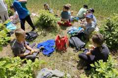 IMG-20250514-WA0041