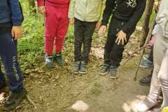 IMG-20250514-WA0044