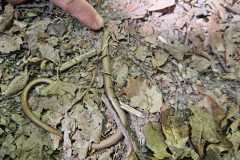 IMG-20250514-WA0045
