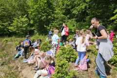 IMG-20250514-WA0046