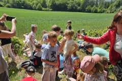 IMG-20250514-WA0047