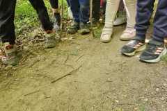IMG-20250514-WA0049