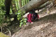 IMG-20250514-WA0051